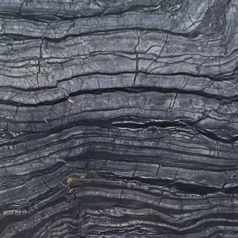 Silver Wave