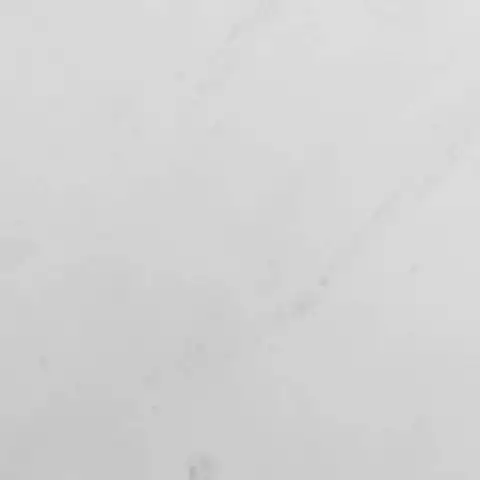 Sivec